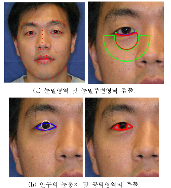 안면영상에서의 다크서클과 안구영역 추출