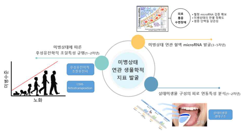 미병상태 연관 생물학적 지표 발굴 요약