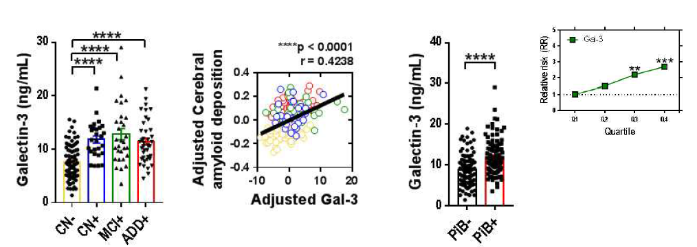 정상군, 경도인지 장애, 알츠하이머성 치매 혈액의 Galectin-3 농도변화, 뇌 아밀로이드 베타 축적과의 상관관계 및 상대적 위험도 분석