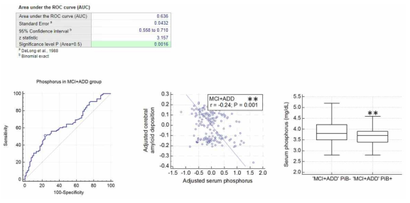 MCI와 ADD그룹에서 Phosphorus를 이용한 뇌아밀로이드 베타의 축적여부 판별