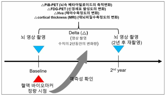 종적 연구를 위한 뇌영상 촬영과 혈액 바이오마커 정량 시점 timeline