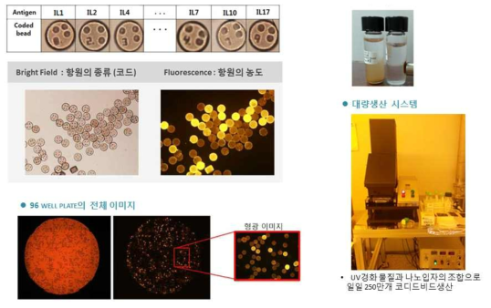 코디드 비드를 이용한 다중감지 원리