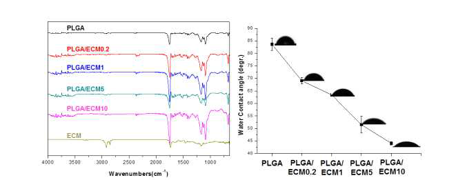 생체모방 생분해성 지지체의 FT-IR spectra 분석 및 접촉각 측정