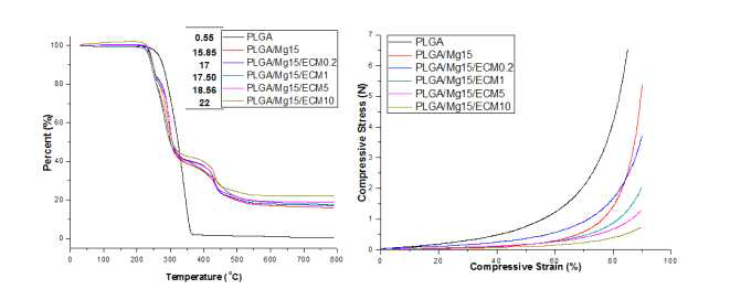 생체모방 염증억제 생분해성 지지체의 TGA 분석 및 압축강도 측정