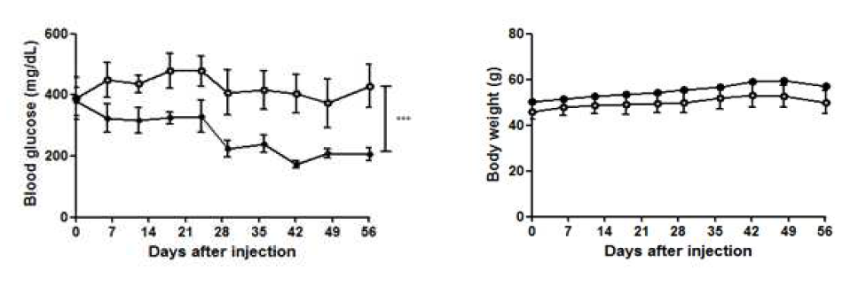 Non-fasting blood glucose level and body weight in ob/ob mice treated with autophagy enhancer small molecule