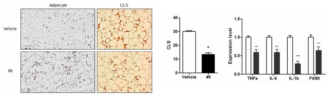 F4/80 immunohistochemical analysis of adipose tissue and relative expression of genes related to inflammation in vehicle or chemical treated ob/ob mice