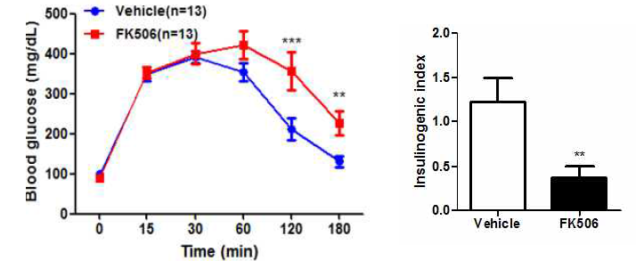 Calcineurin inhibitor 인 FK506 이 in vivo b-cell function,에 미치는 영향. 50 mg/kg FK506을 8 주간 투여 후 intraperitoneal glucose tolerance test (left) 를 시행하고 insulinogenic index를 계산 (right)