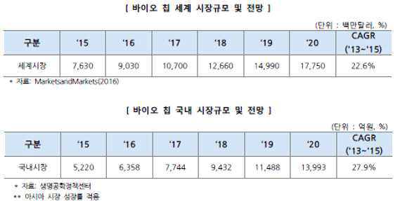 바이오 칩의 국내ž외 시장규모 및 전망