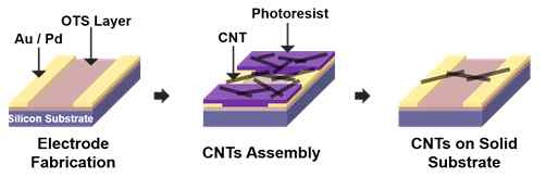 광식각을 이용한 탄소 나노튜브 트랜지스터 제작 모식도