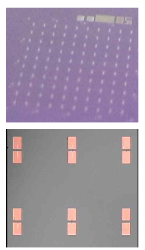 마이크로 패터닝 기술을 이용하여 1 cm2 당 100개의 비침습성 물리센서를 집적한 기판의 광학 이미지