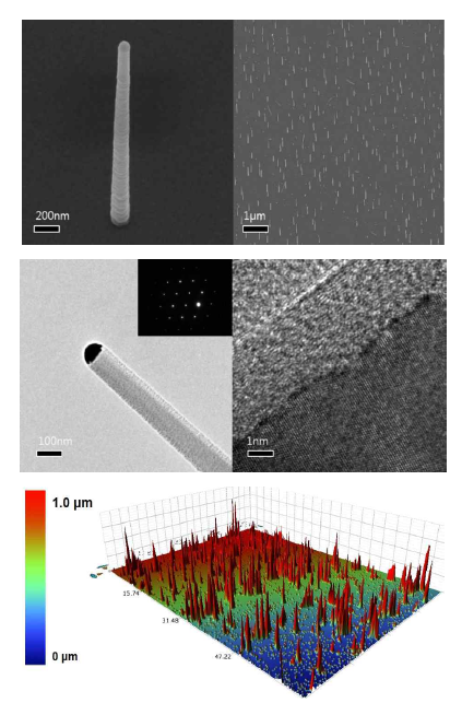 Silicon 기판위에 수직 배향된 SiNWs의 SEM 사진(상)과 TEM 사진(중) OP (optical profiler) 사진(하)