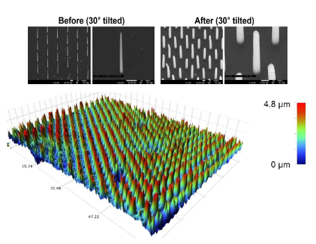 Graphene 상에 성장한 ZnO 나노튜브에 parylene 코팅 전후의 SEM 사진(상단)과 OP 사진(하단)