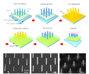 그래핀 위 ZnO nanotube waveguide의 제조 및 전자 현미경 사진