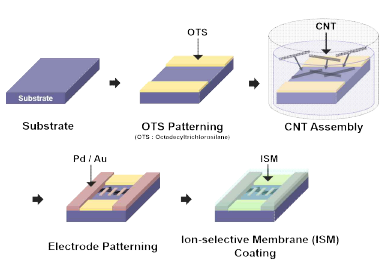 CNT-FET 제작 공정의 schematic diagram