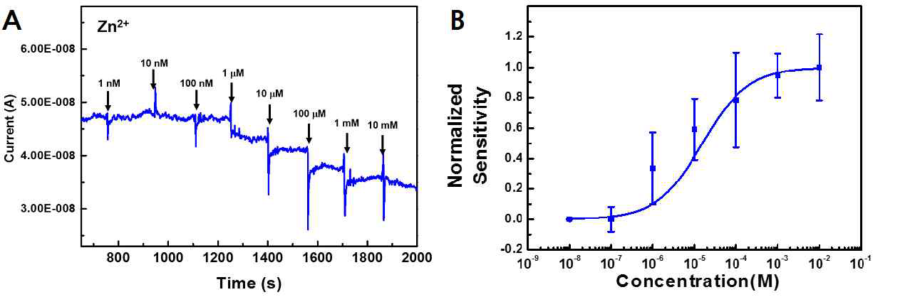 Zinpyr-1 박막을 이용한 Zinc 이온 센서의 반응성 측정 결과. A. 농도별 Zinc 이온 수용액에 대한 실시간 반응. B. 농도별 Zinc 이온 수용액에 대한 반응 곡선