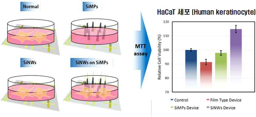 인간 피부세포를 이용한 나노선 소자의 생체적합성 평가 (MTT assay) 결과