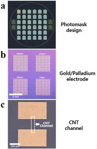 (a) 트랜지스터 대량 집적 생산을 위해 제작된 4 inch wafer 용 photolithography mask (b) 제작된 transistor array 2×2 cm2 에 포함된 20×20 개의 CNT-FET 이미지 (c) 단일 CNT-FET 고배율 이미지