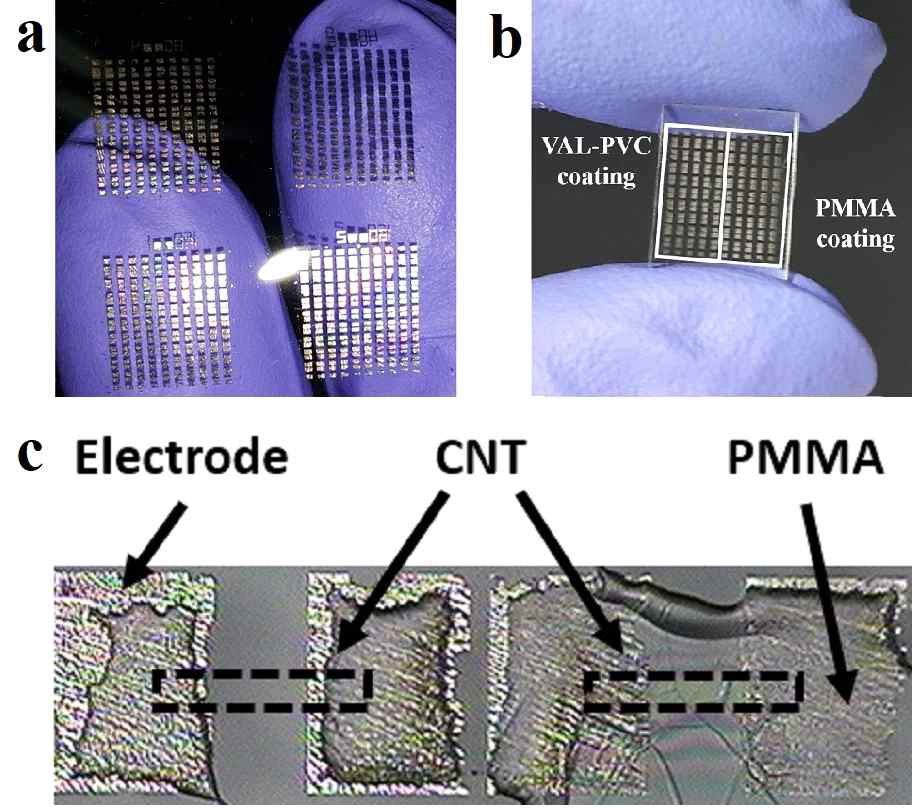 (a) PDMS 기판 위에 Transfer 된 Transistor Array (b) CNT-FET 채널부 coating에 의해 제작된 온도 센서와 생화학 이온 센서 어레이 (c) PMMA 코팅이 형성된 온도 센서의 고배율 이미지