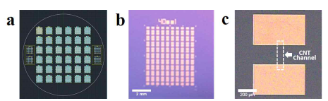 (a) 4 inch wafer 용 집적 트랜지스터 Pattern Mask (b) Silicon Oxide 기판 1×1 cm2 내에 제작된 100 개의 CNT 트랜지스터 어레이 이미지 (c) 단일 CNT 트랜지스터의 고배율 이미지