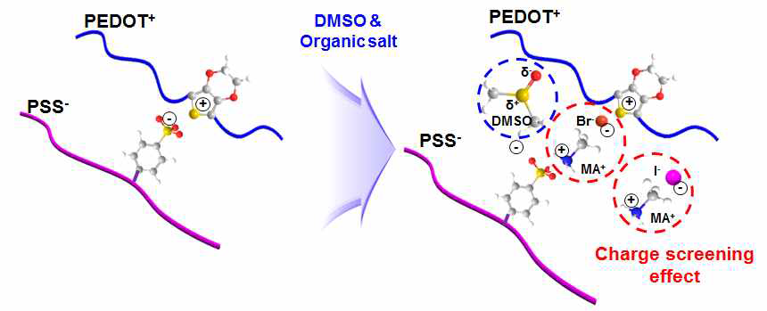 DMSO 및 MABr, MAI를 이용한 전도성 고분자 PEDOT과 절연체 PSS의 상분리 모식도