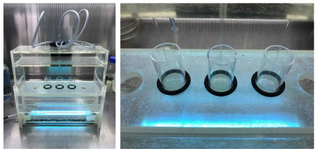 자외선 처리 장치(좌)와 NLC에 자외선 처리하는 모습(우)