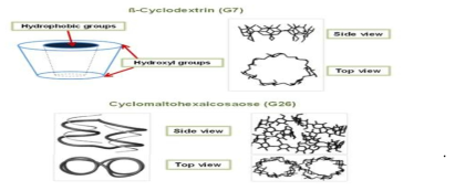 환상형 글루칸 cyclodextrin 및 cycloamylose의 화학적 구조 예시
