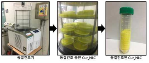 Cur_NLC 동결건조 과정