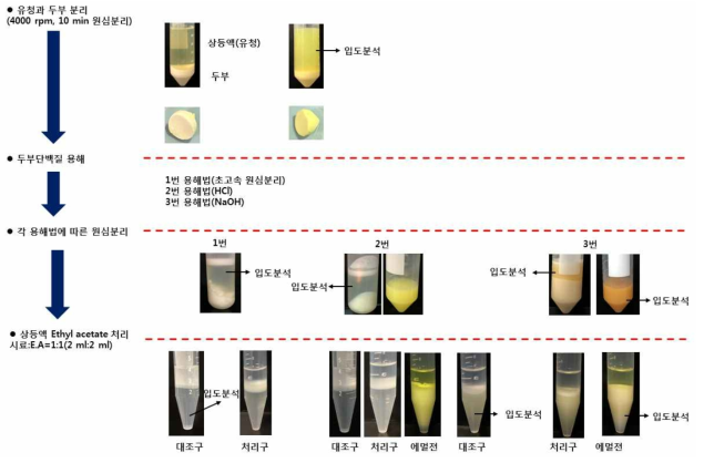 모델 단백질식품 속 CUR_NLC의 유무를 확인하기 위한 예비방법