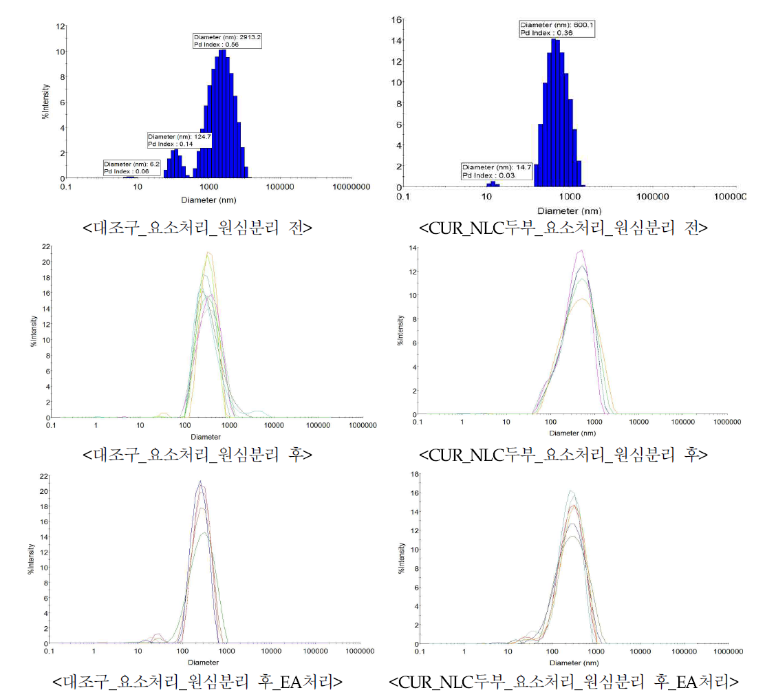 처리공정별 샘플의 입자분포도