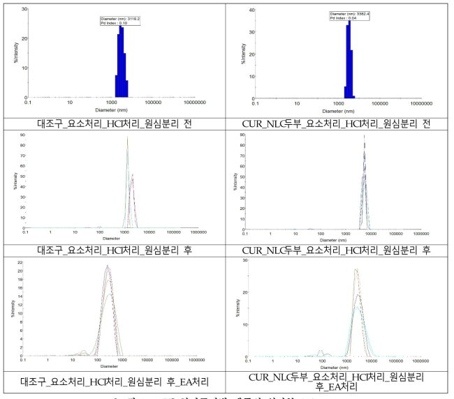 처리공정별 샘플의 입자분포도