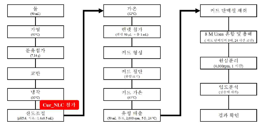 CUR_NLC(Curcumin Nano Lipid Carrier) 함유 무지방 모짜렐라치즈 (모델단백질식품) 제조공정 도식