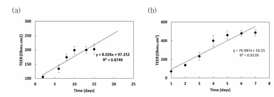 세포배양기간에 따른 Caco-2 cell의 세포저항값(TEER) 변화. (a) MEM 배지 이용, (b) DMEM 배지를 이용