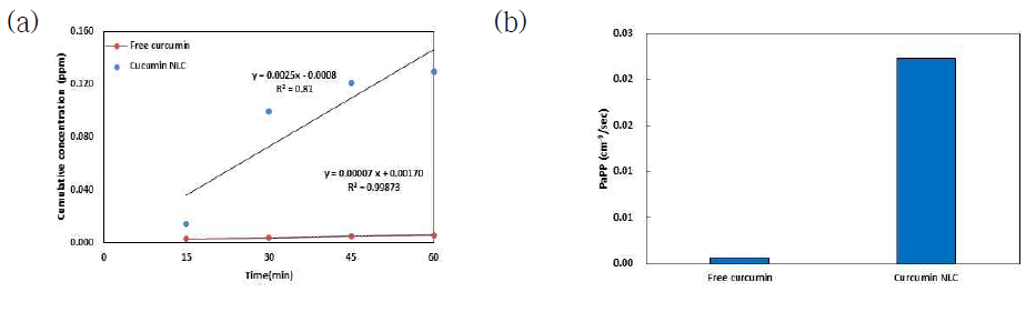 Curcumin 함유 NLC 세포투과와 누적농도(UV 흡광도 분석). (a) 투과 누적농도 (b) 겉보기 투과계수