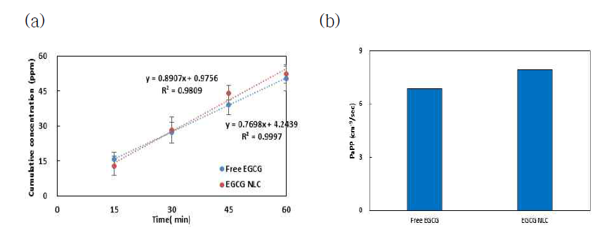 EGCG 함유 NLC 세포투과와 겉보기투과계수(UV 흡광도 분석). (a) 투과 누적농도 (b) 겉보기 투과계수
