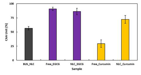 Curcumin과 EGCG 함유 NLC 세포 항산화