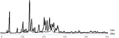 Native curcumin과 curcumin nanocrystal의 결정화 비교. (a): native curcumin, (b): curcumin nanocrystal