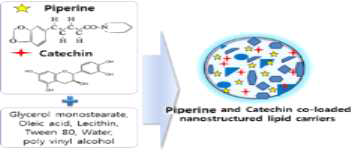 EGCG & piperine 동시탑재 지질 나노 전달체의 가상 모델