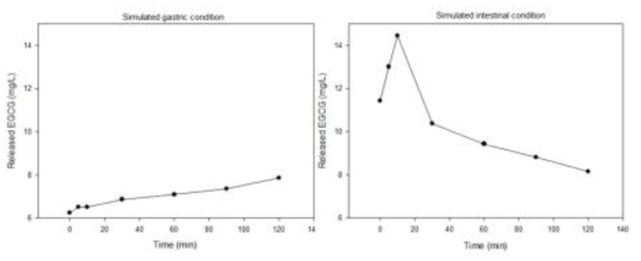 모방 소화조건에서 EGCG의 방출량.