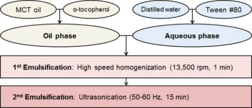 나노에멀젼 제조 방법 도식도