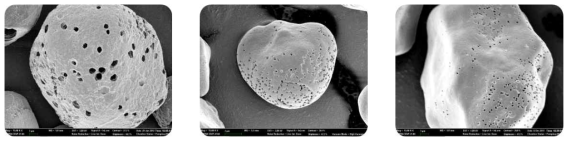 FE-SEM을 통한 탄수화물분해효소 처리 다공성 전분입자의 표면 분석