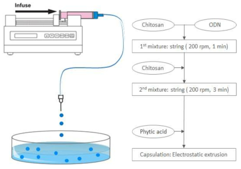 Schematic of entrapment method(좌) 및 flow chart(우)