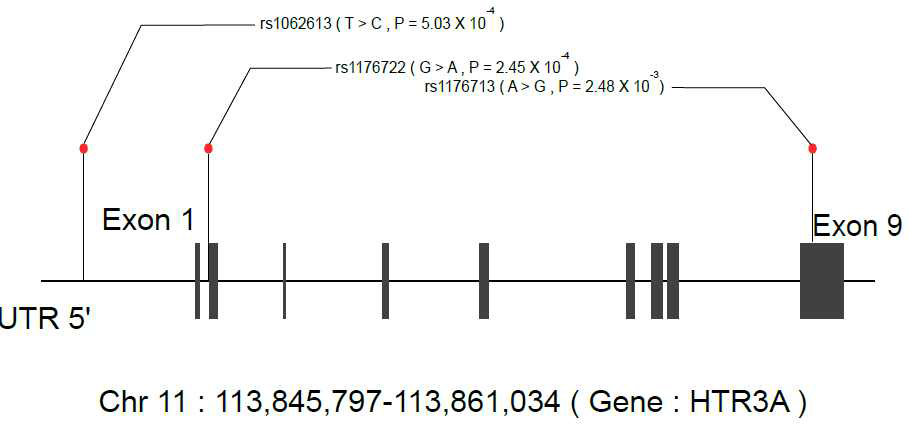 Significant SNPs clustered in HTR3A gene