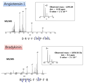 Angiotensin I 과 bradykinin의 질량분석 데이터