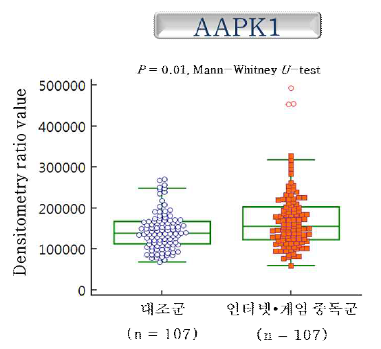 AAPK1 단백질의 웨스턴블랏 수치화 결과