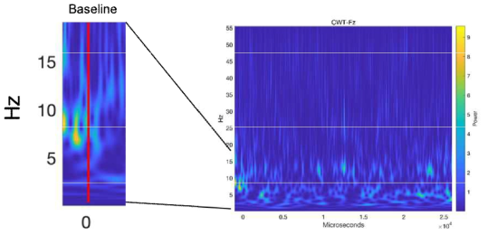 Continuous Wavelet Transform을 이용하여 개인화 지표의 주파수 대역 검증