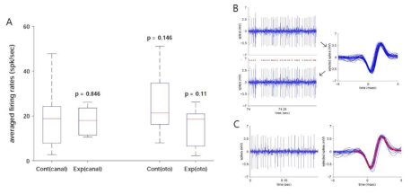 정상동물과 파킨슨병 동물모델 신경신호 비교. (A) 평균발화율 비교: (B) 신경신호 peak-to-peak 해석방법: (C) 단일 신경신호를 이용한 평균값