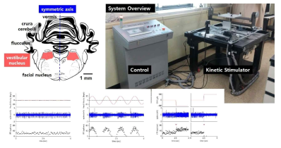 전정핵에서의 신경반응과 5축 운동자극 시스템