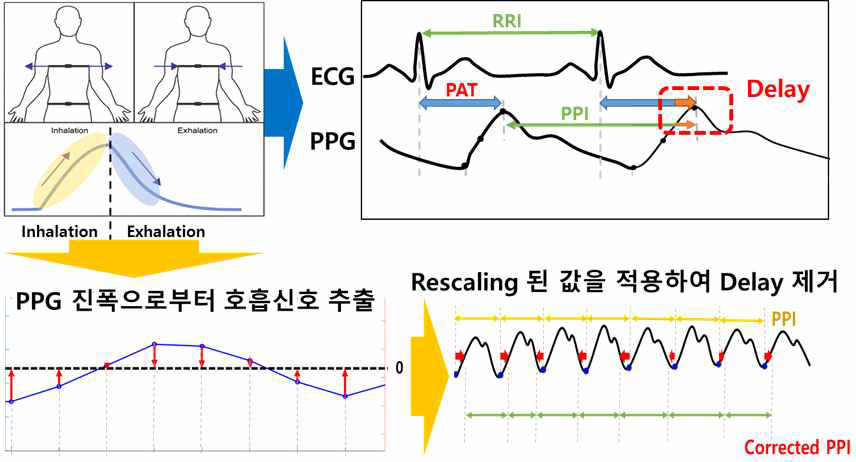 광용적맥파 호흡 성분 보정 알고리즘 개요