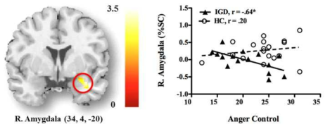 욕설처리 시 Amygdala와 공격성조절의 상관관계