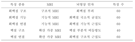 뇌영상 데이터에서 추출한 뇌기능 및 구조 특징